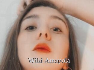 Wild_Amapola