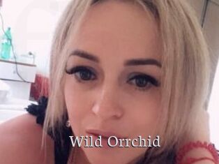 Wild_Orrchid