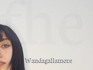 Wandagallamore