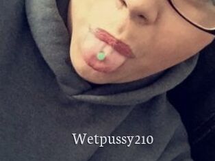 Wetpussy210