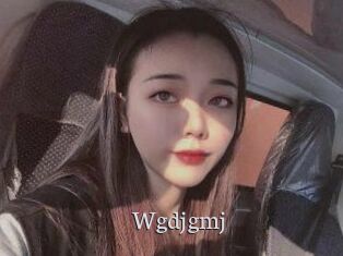 wgdjgmj Free Host Empire