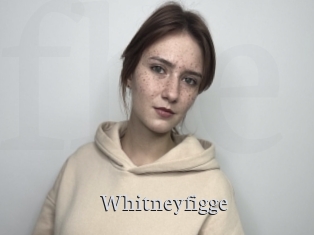 Whitneyfigge