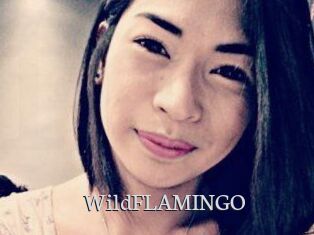 WildFLAMINGO