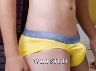 Wild_STUD