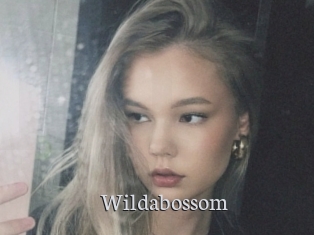 Wildabossom