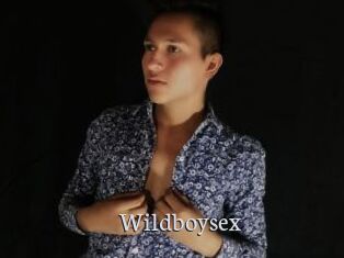 Wildboysex