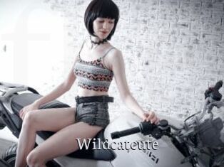 Wildcatcute