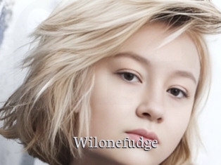 Wilonefudge