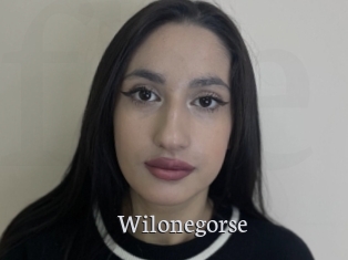 Wilonegorse
