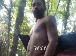 Wolf