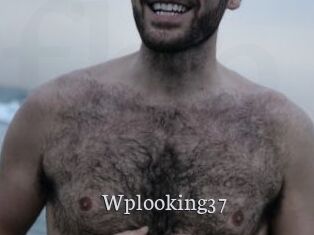 Wplooking37