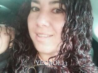 YECAOL23