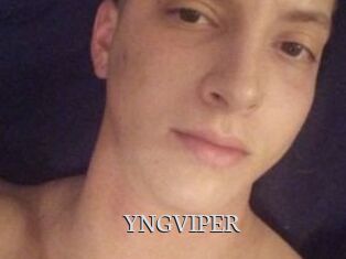 YNGVIPER