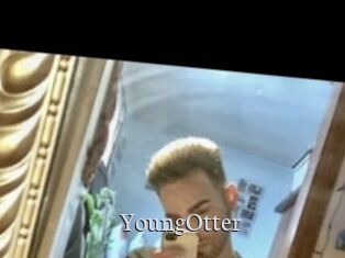 YoungOtter