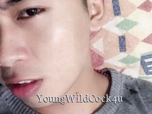 YoungWildCock4u