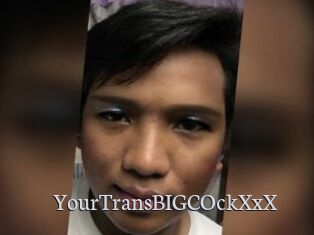 YourTransBIGCOckXxX