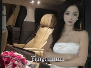 Yangqinmm