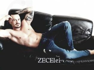 ZECElei