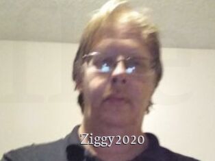 Ziggy2020
