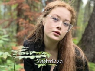 Zadnizza