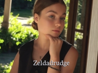 Zeldadrudge