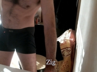 zig Free Host Empire