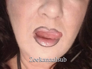Zoekanaalsub